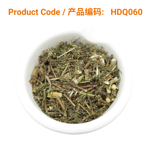 Artemisia annua [Qinghao (青蒿)] also known as sweet wormwood, sweet